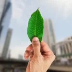 green steel in india - Aone steel group